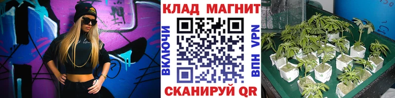 Купить наркотик Нахабино Конопля  APVP  Псилоцибиновые грибы  Меф мяу мяу 