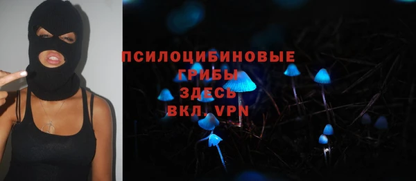 mdpv Бугульма