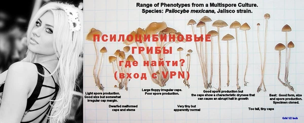 марихуана Бородино